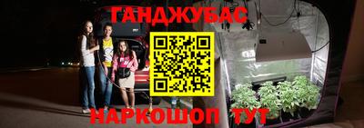 хмурый Гатчина