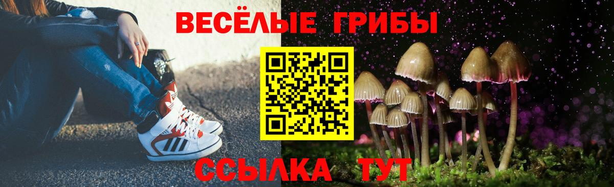 Ноябрьск  Галлюциногенные грибы Psilocybine cubensis  Псилоцибиновые грибы Magic Shrooms  Вход с VPN 